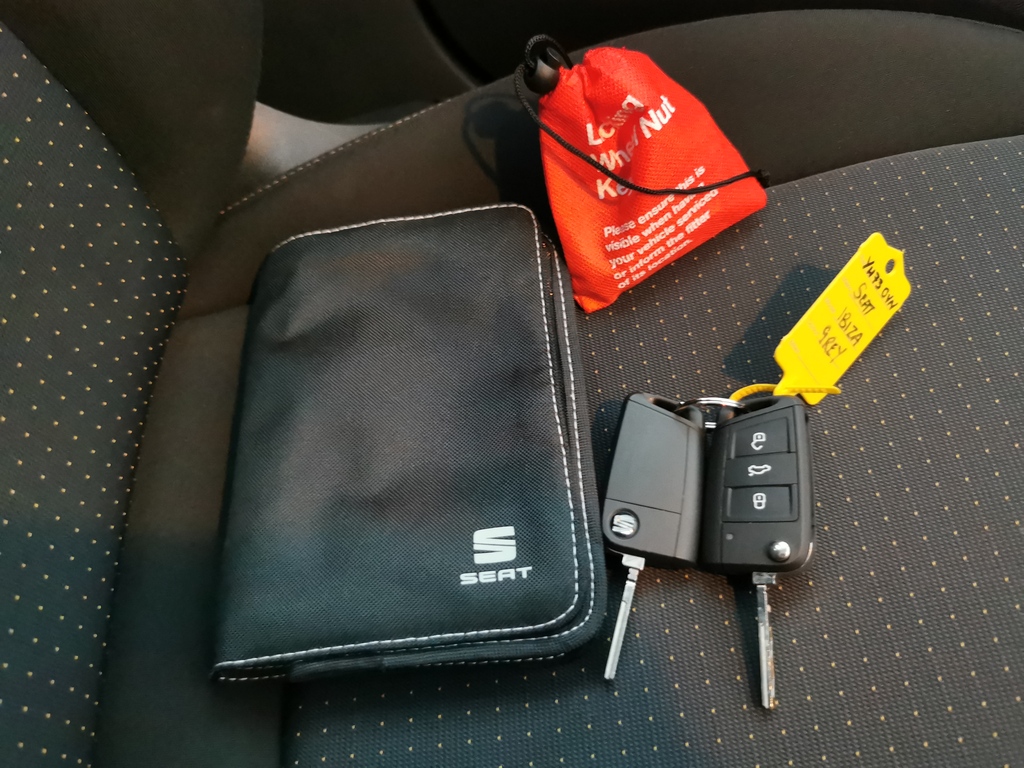 Seat Ibiza Se Grey #21