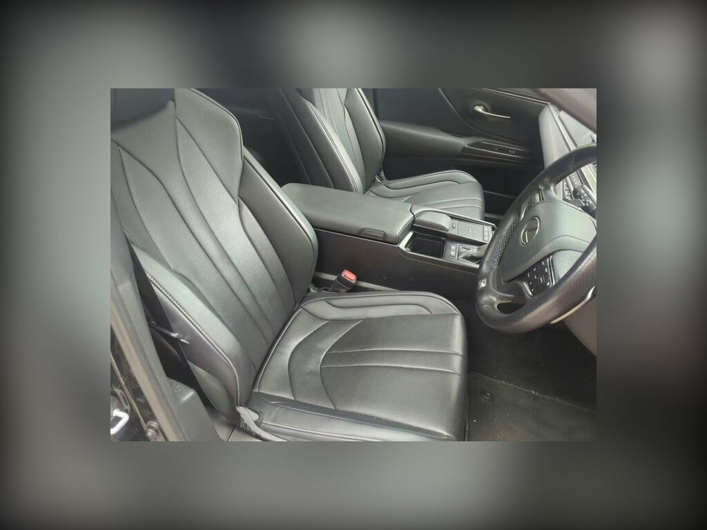 Lexus ES 2.5 300H F Sport Saloon Hybrid E-cvt Eu Black #6