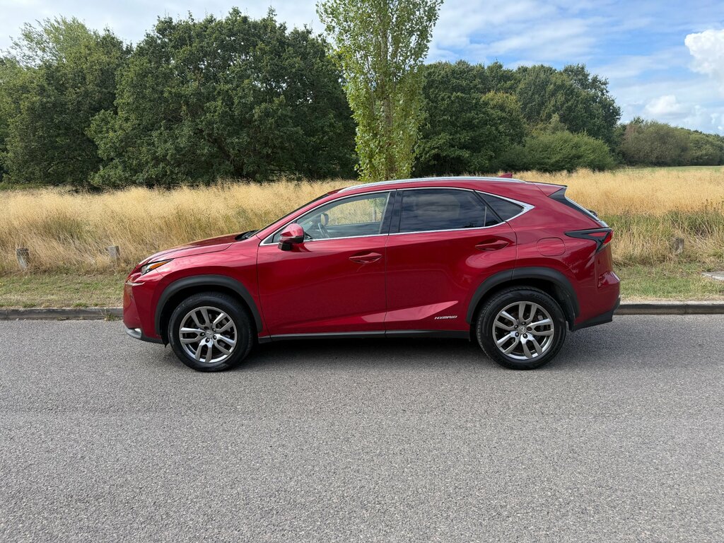 Lexus NX 300H Luxury Grey #4