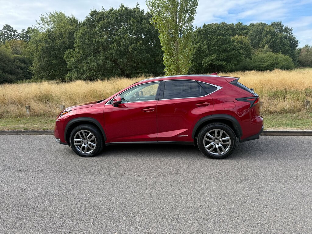 Lexus NX 300H Luxury Grey #5