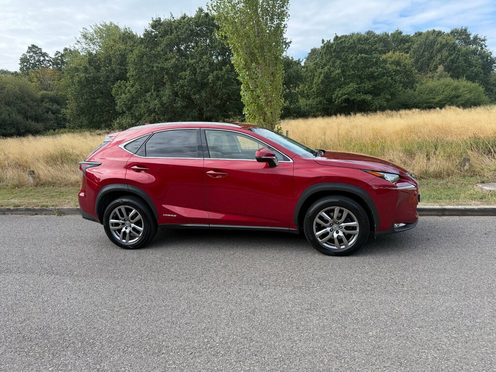 Lexus NX 300H Luxury Grey #2