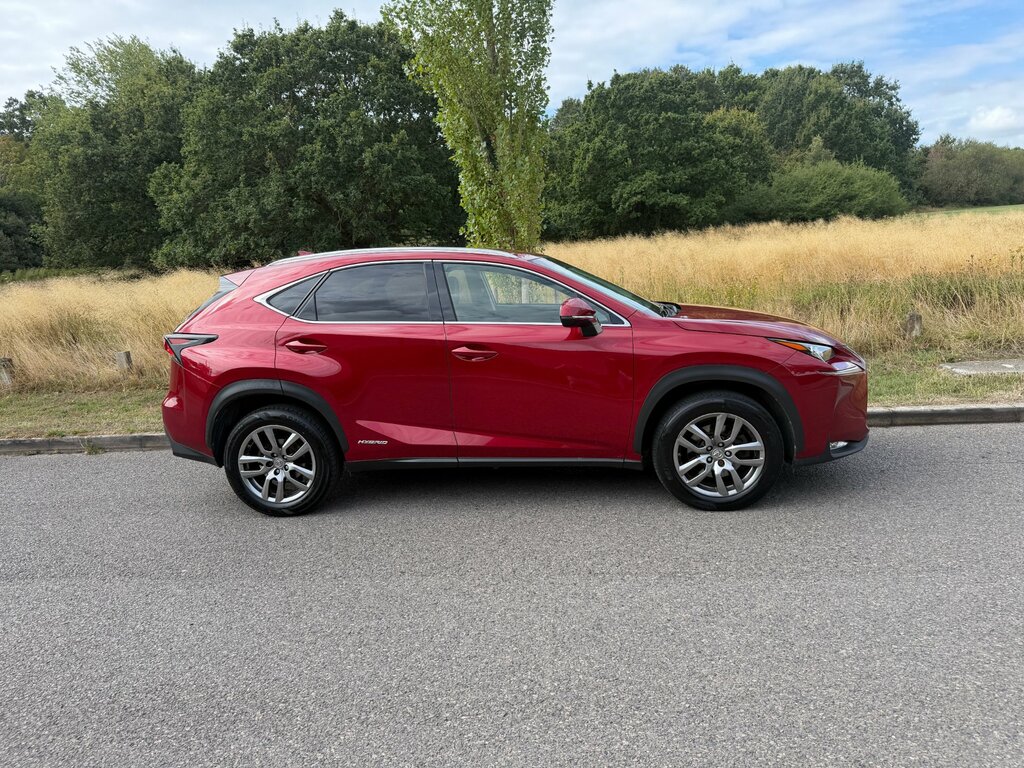 Lexus NX 300H Luxury Grey #3
