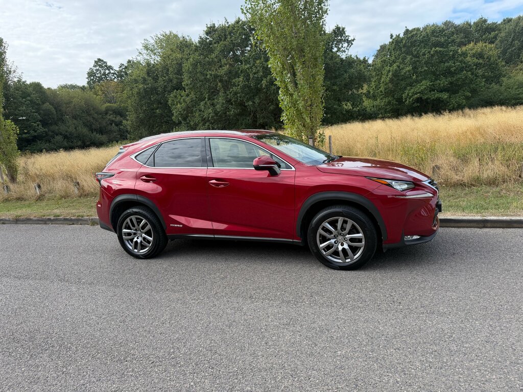 Lexus NX 300H Luxury Grey #1