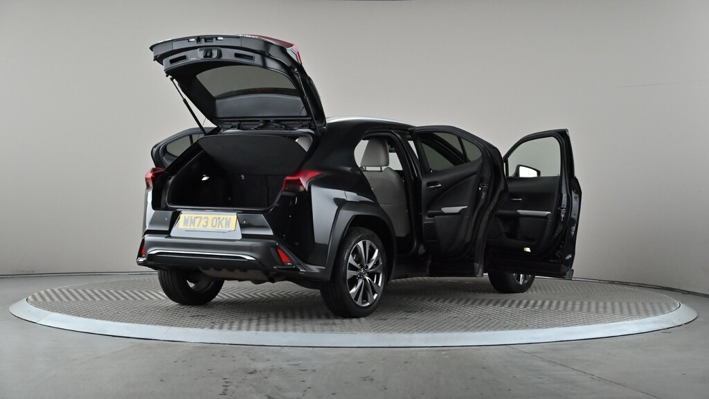 Lexus UX 2.0 250H Premium Plus E-cvt Euro 6 Ss Silver #12