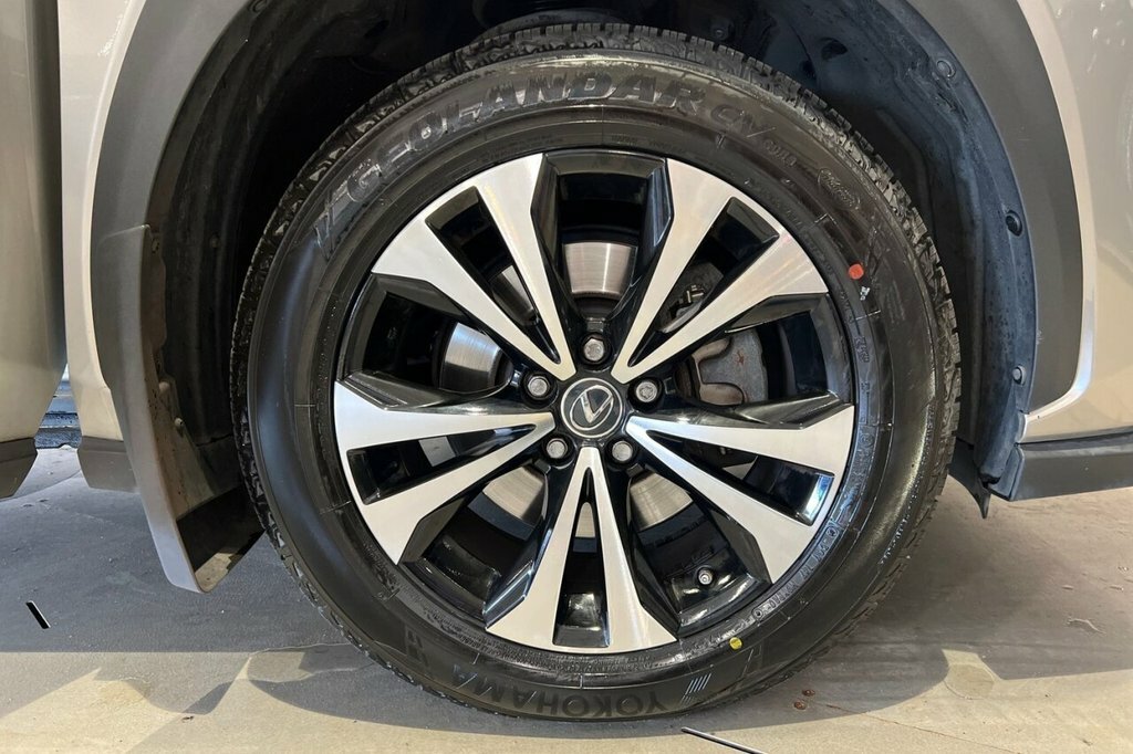 Lexus NX 300H White #11
