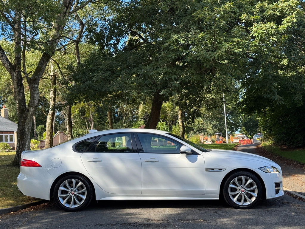 Jaguar XF  White #50