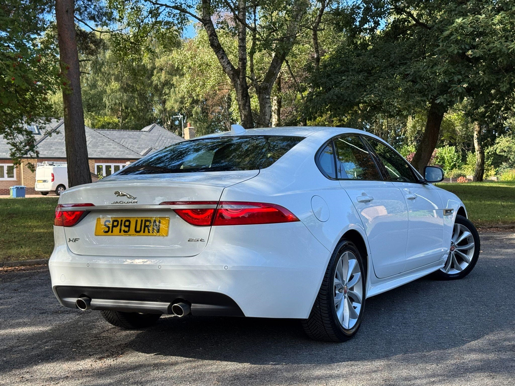 Jaguar XF  White #43
