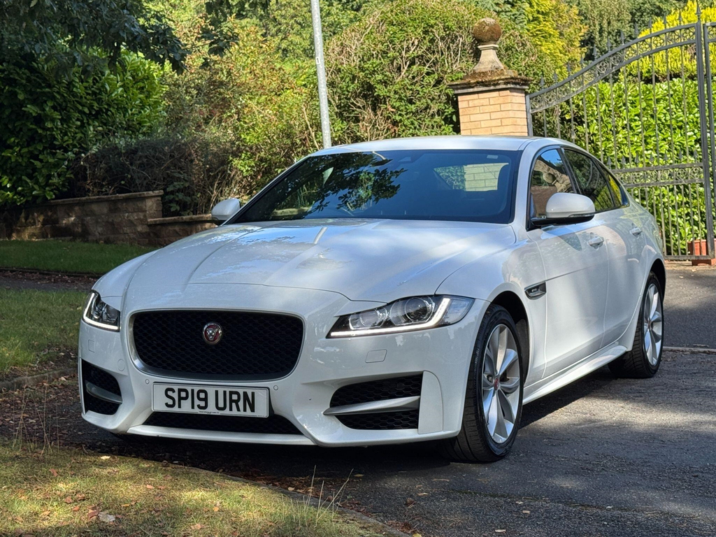 Jaguar XF  White #61