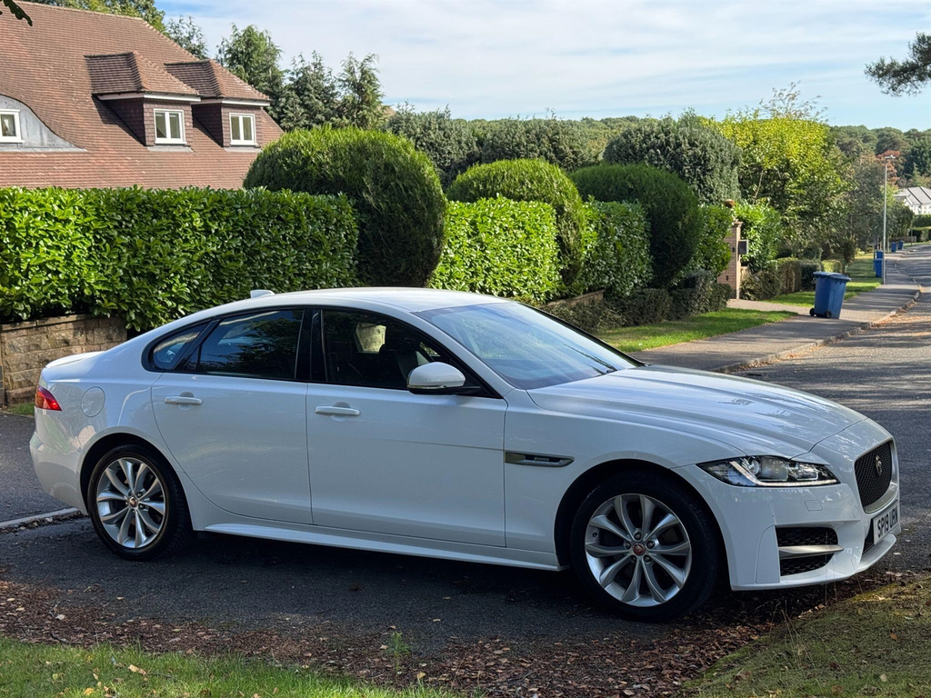 Jaguar XF  White #60
