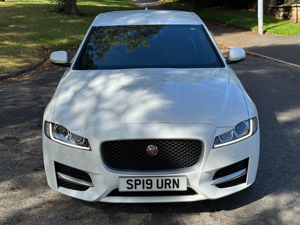 Jaguar XF  White #46