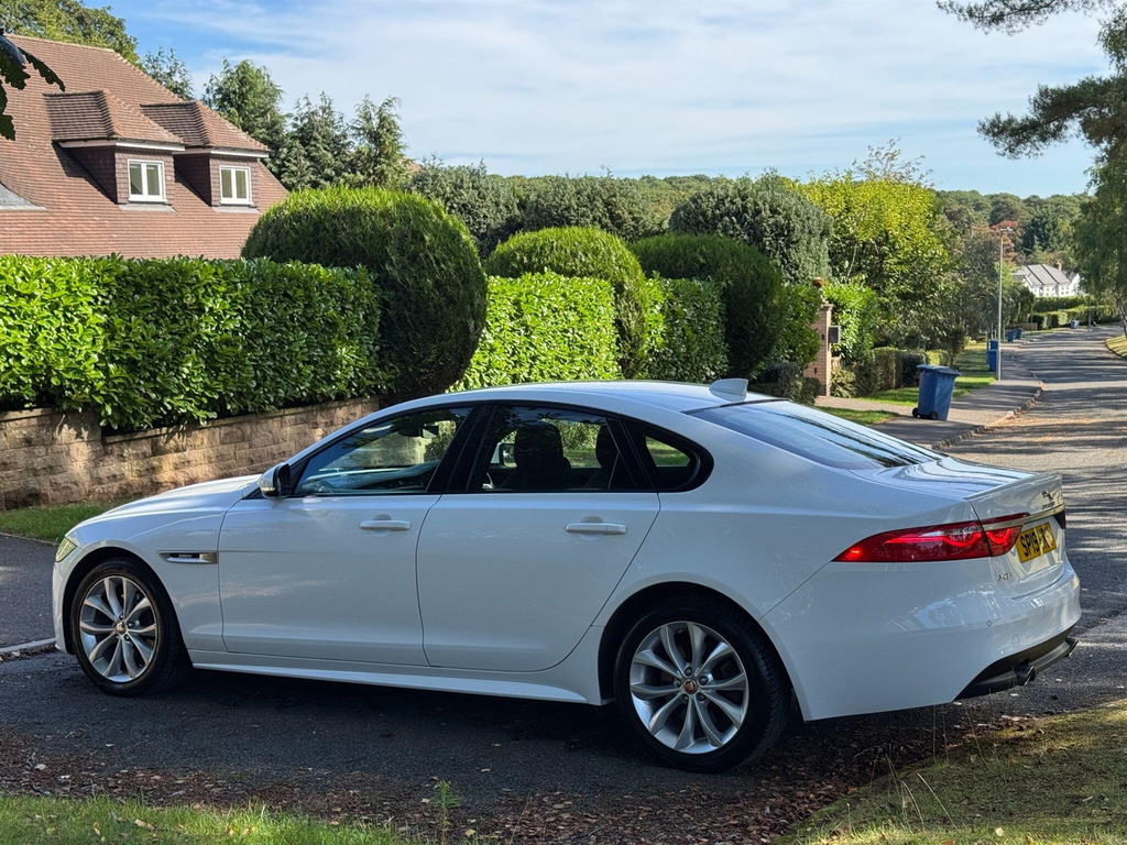 Jaguar XF  White #67