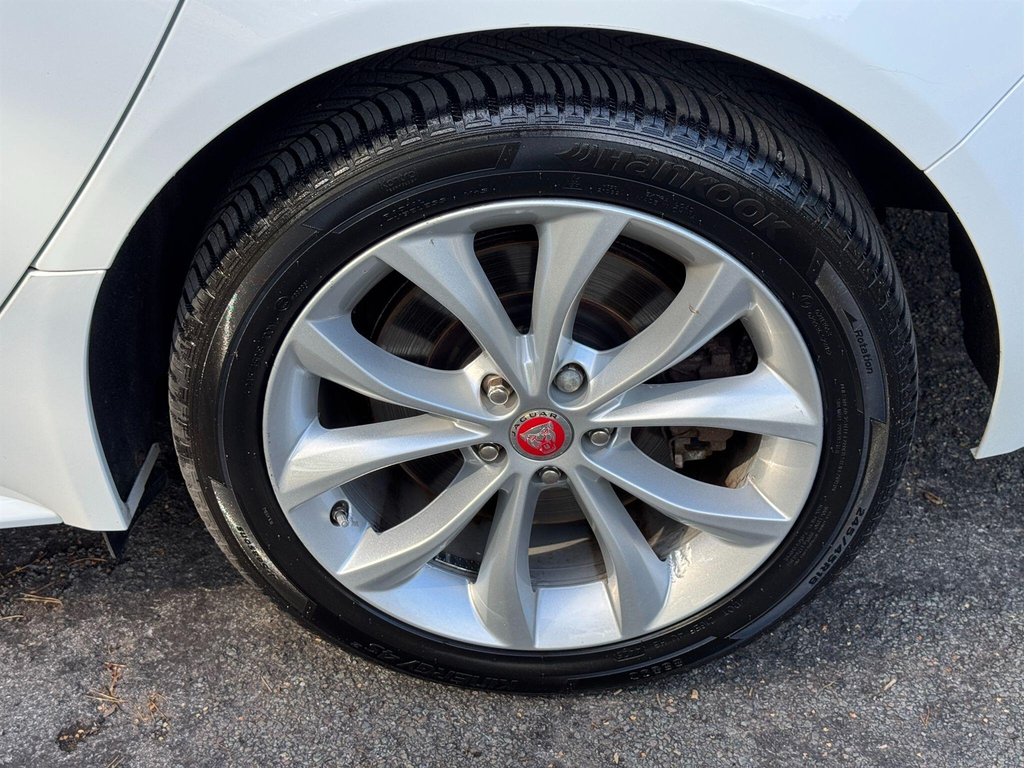 Jaguar XF  White #36