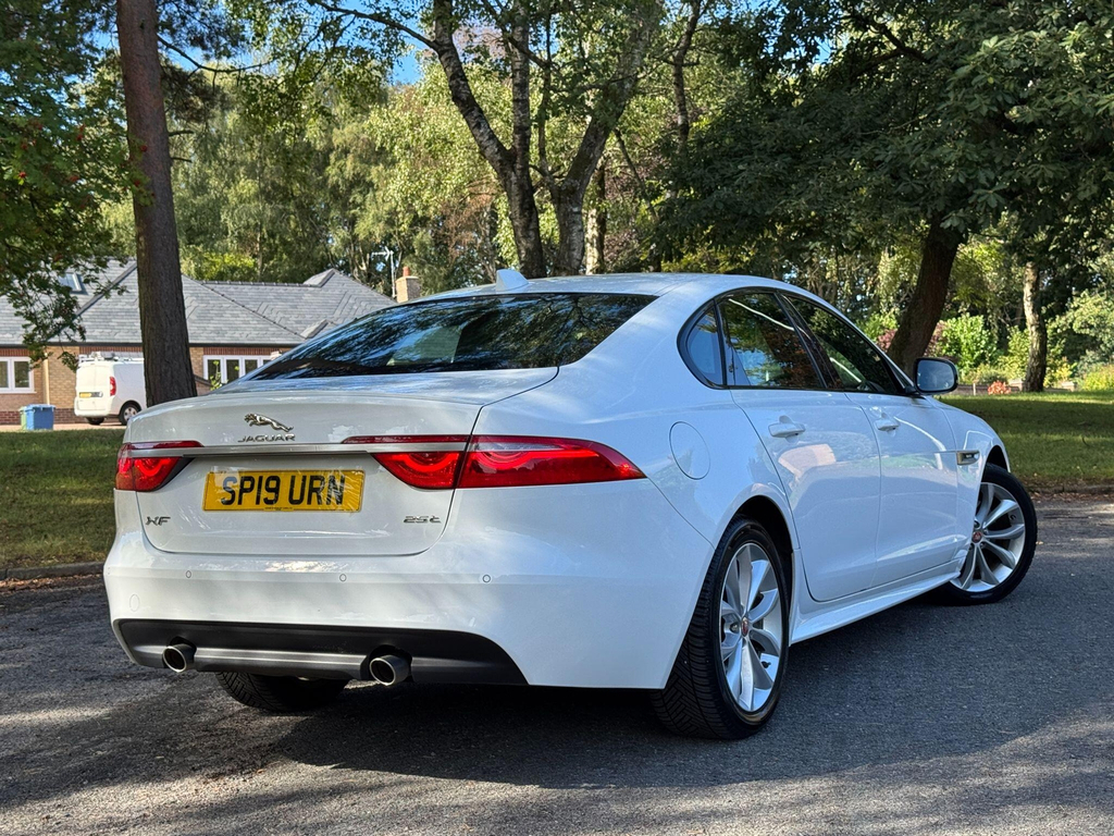 Jaguar XF  White #65