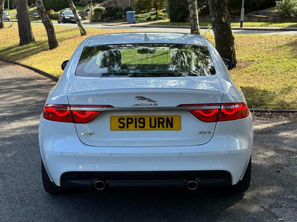 Jaguar XF  White #47