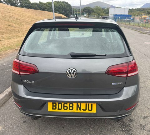 Volkswagen Golf 1.5 Golf Se Grey #5