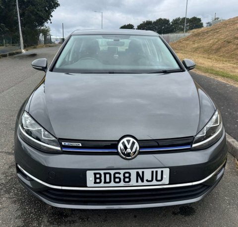 Volkswagen Golf 1.5 Golf Se Grey #2