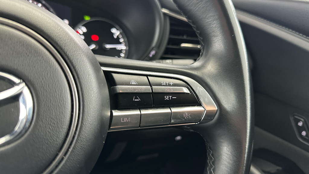 Mazda CX-30 Gt Sport Tech Grey #24