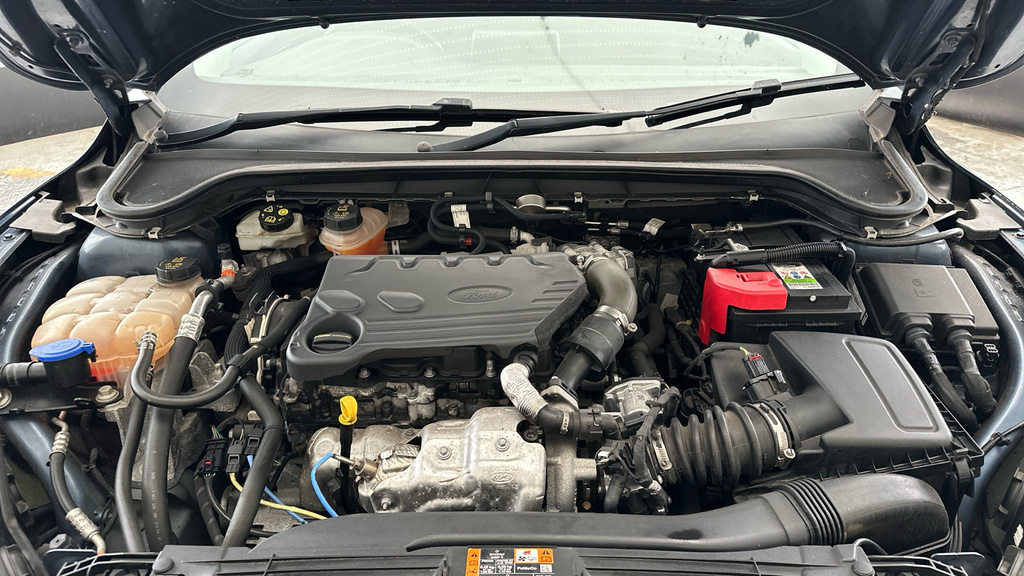 Ford Focus St-line X Grey #21