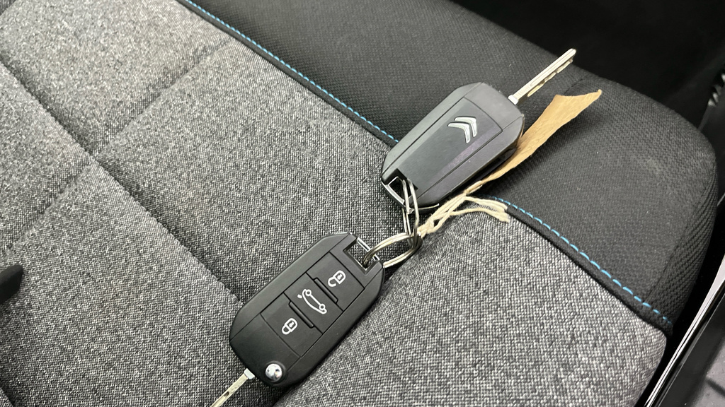 Citroen C4 Cactus Hatchback Grey #29