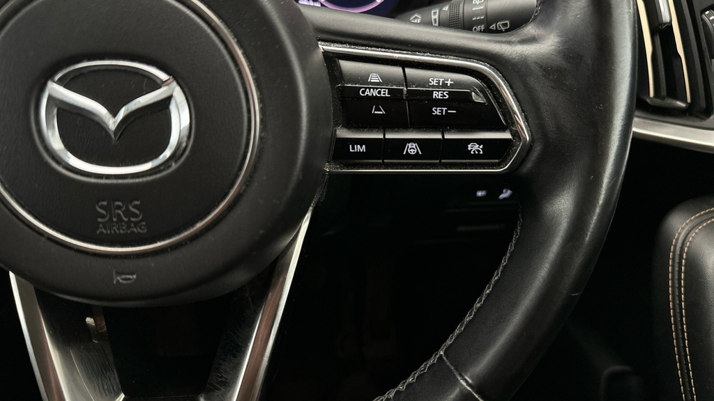 Mazda CX-60 2.5L Exclusive-line Grey #15