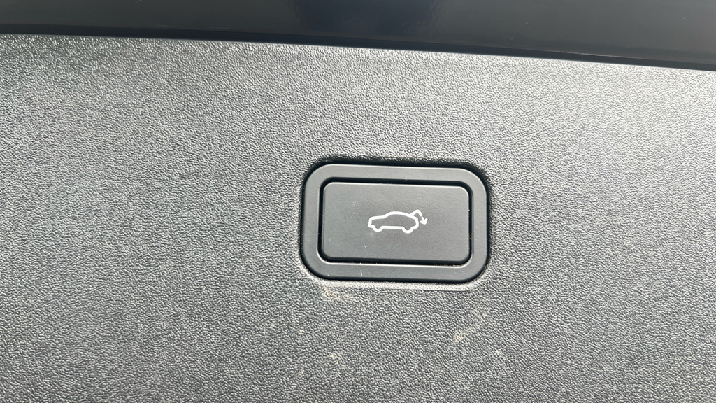 Volvo EX30 Ex30 200Kw Sm Extended Range Plus 69Kwh White #31