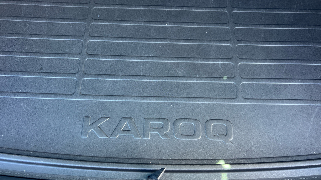 Skoda Karoq Se Drive Blue #34