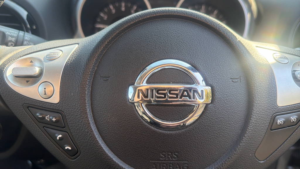Nissan Juke  Grey #29