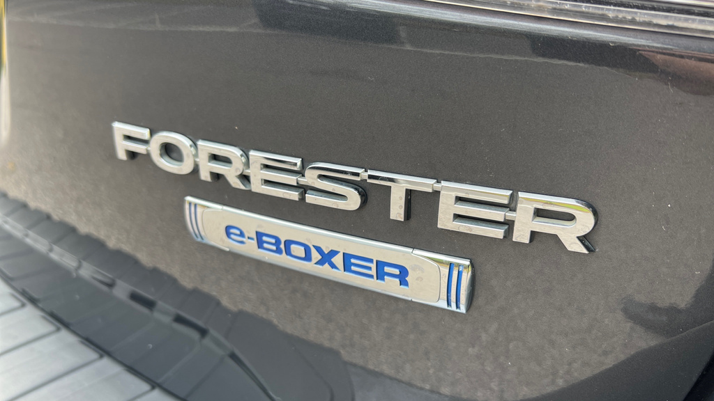 Subaru Forester Forester I Xe E-boxer Awd Cvt Silver #37