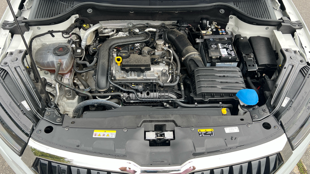 Skoda Karoq Se L Grey #27