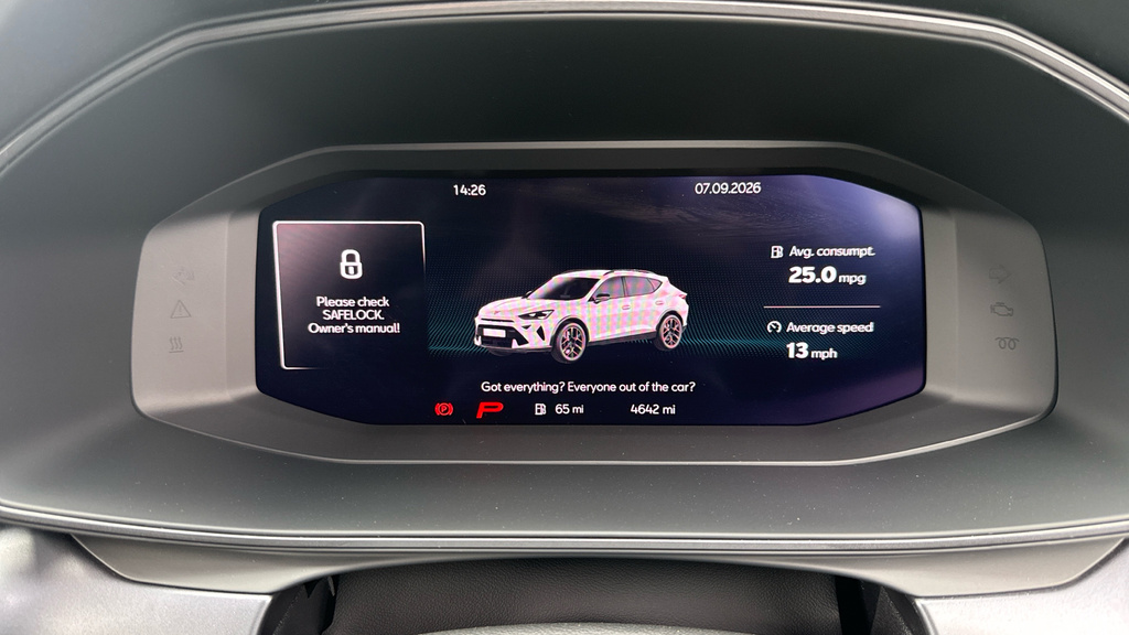 Cupra Formentor 1.5 Etsi 150 V1 Dsg Grey #13