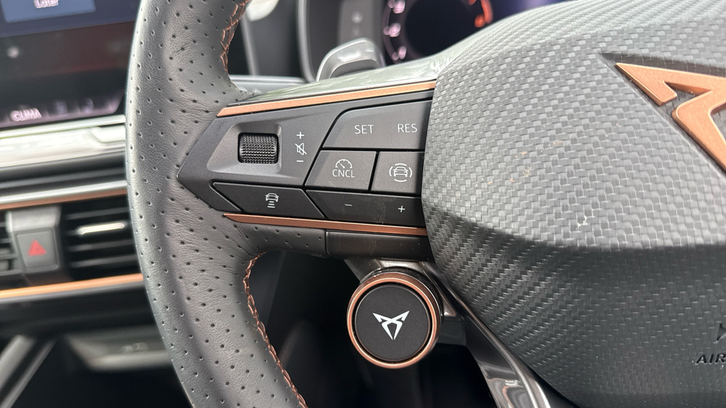 Cupra Formentor 1.5 Etsi 150 V1 Dsg Grey #24