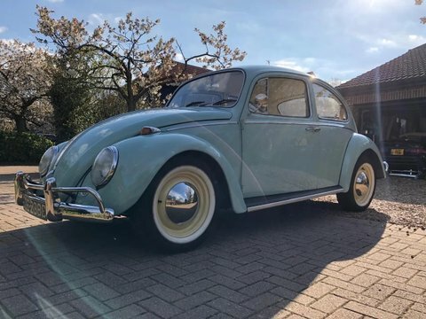 Volkswagen Beetle Saloon Blue #3