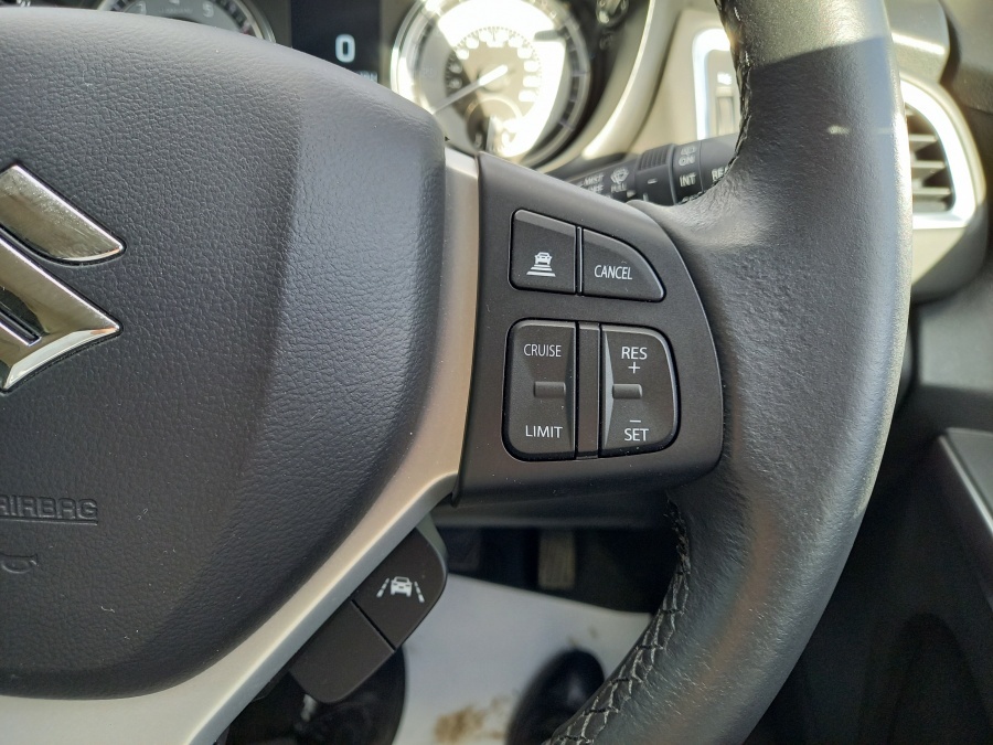 Suzuki S Cross Motion Grey #21