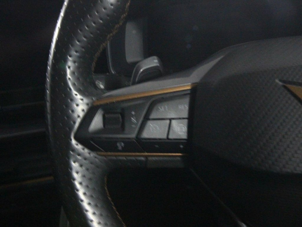 Cupra Formentor V2 Tsi 150Ps 6 Speed Blue #36