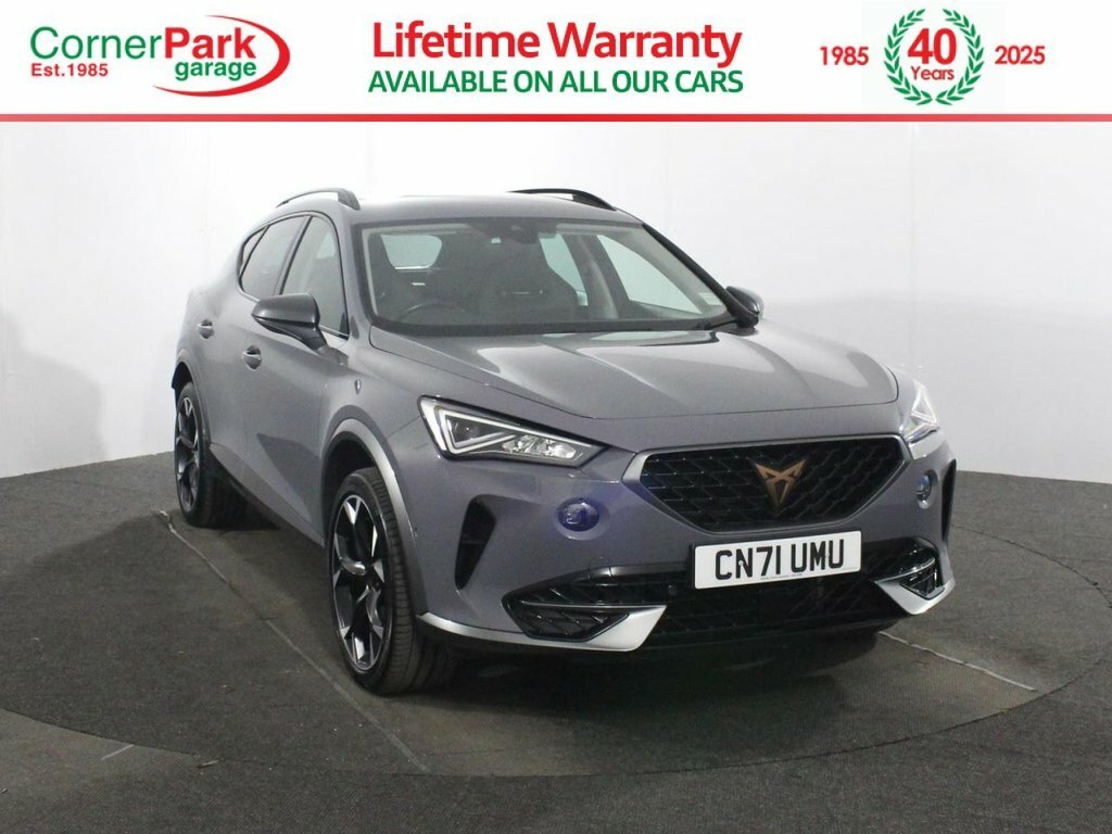 Cupra Formentor V2 Tsi 150Ps 6 Speed Blue #22