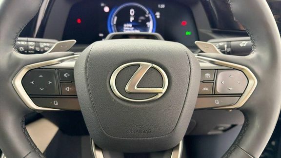Lexus RZ 300E 71.4Kwh Premium Plus  #14