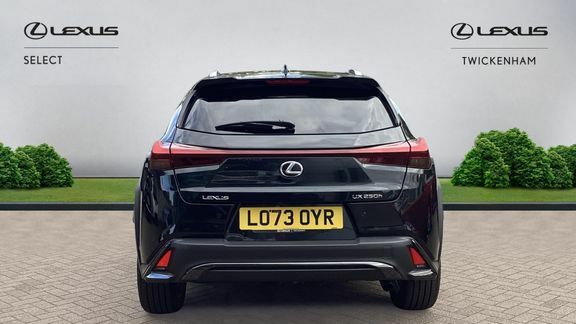 Lexus UX F Sport Design Black #5
