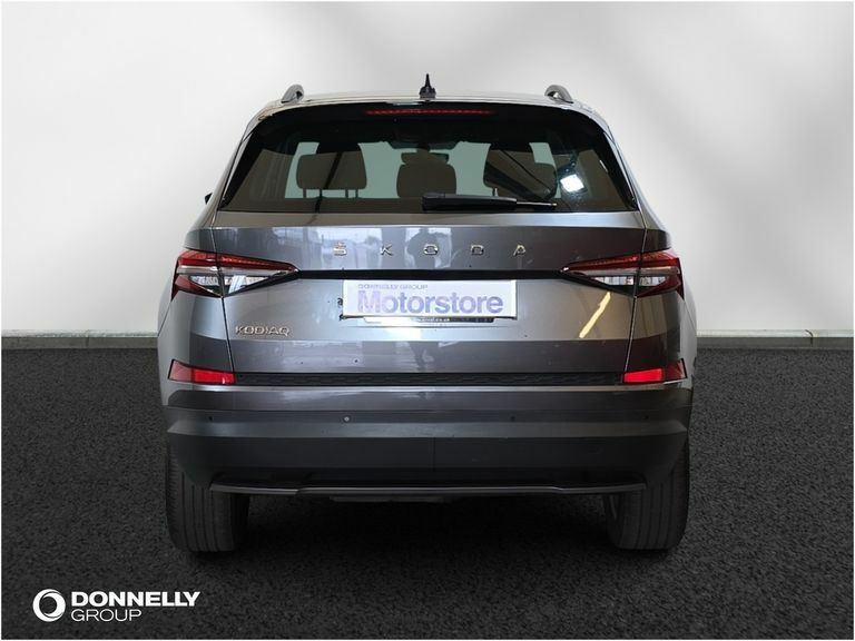 Skoda Kodiaq Se Blue #10