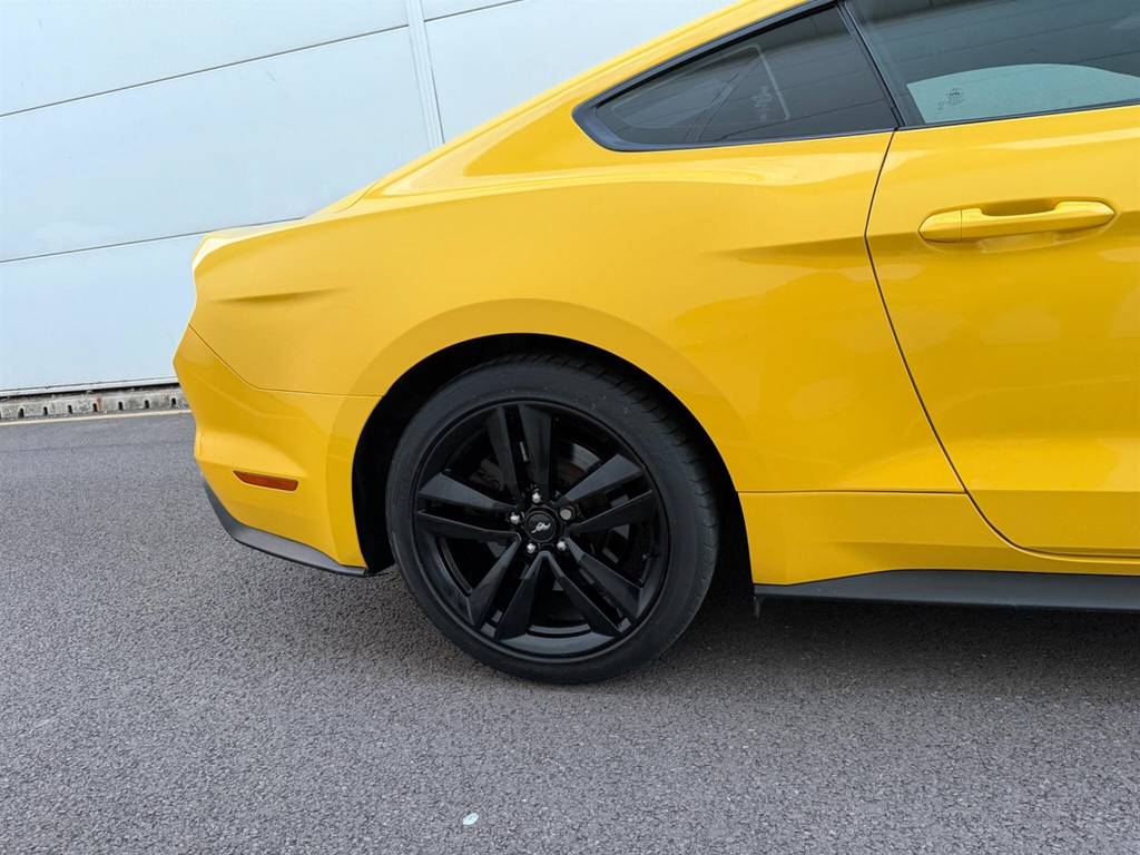 Ford Mustang 5.0 V8 Gt Grey #7