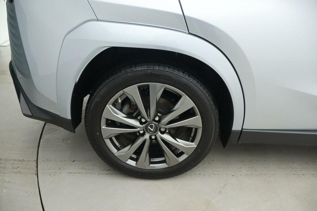 Lexus UX Ux 300E Premium Plus Pack 18 Silver #24