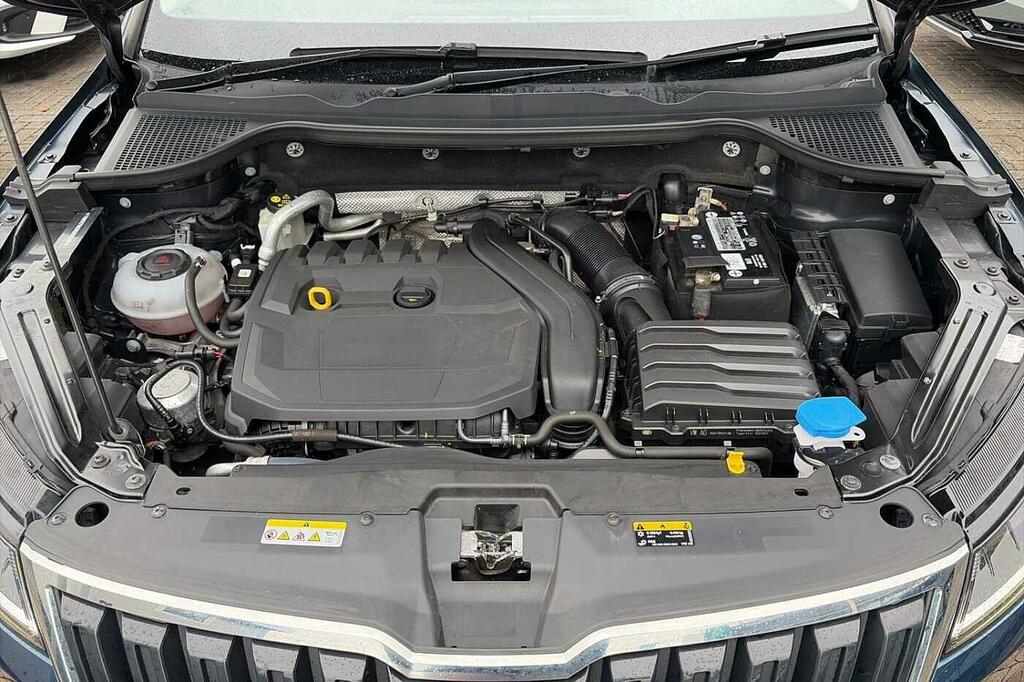 Skoda Karoq Edition Grey #9