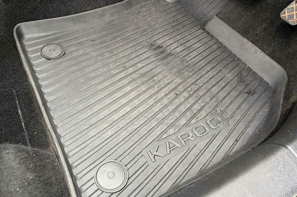Skoda Karoq Edition Grey #29
