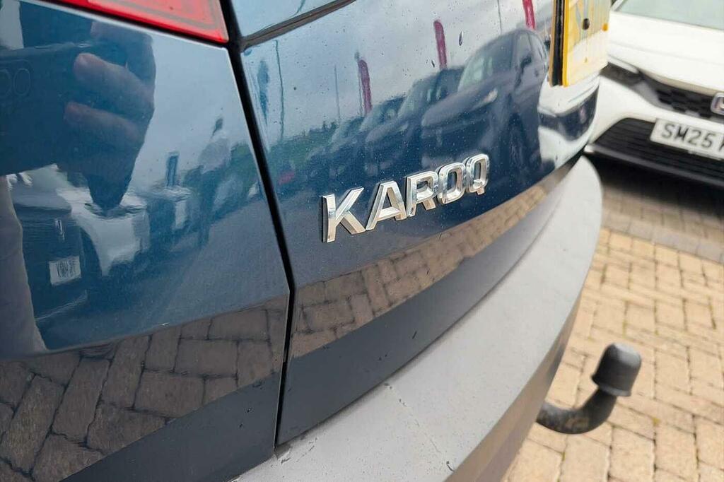 Skoda Karoq Edition Grey #41