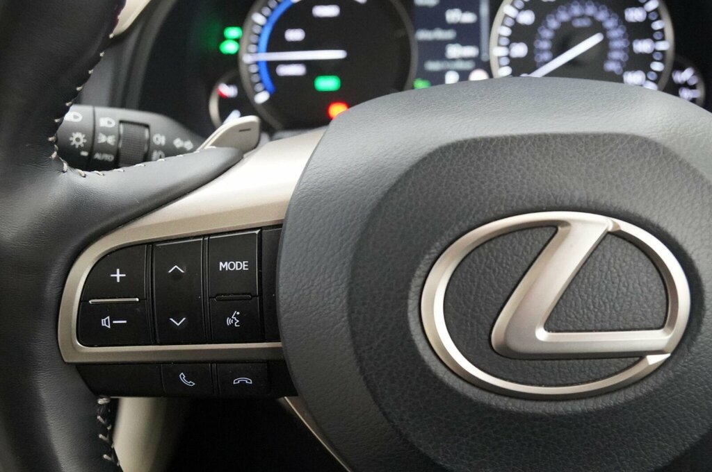 Lexus RX F Sport Black #24