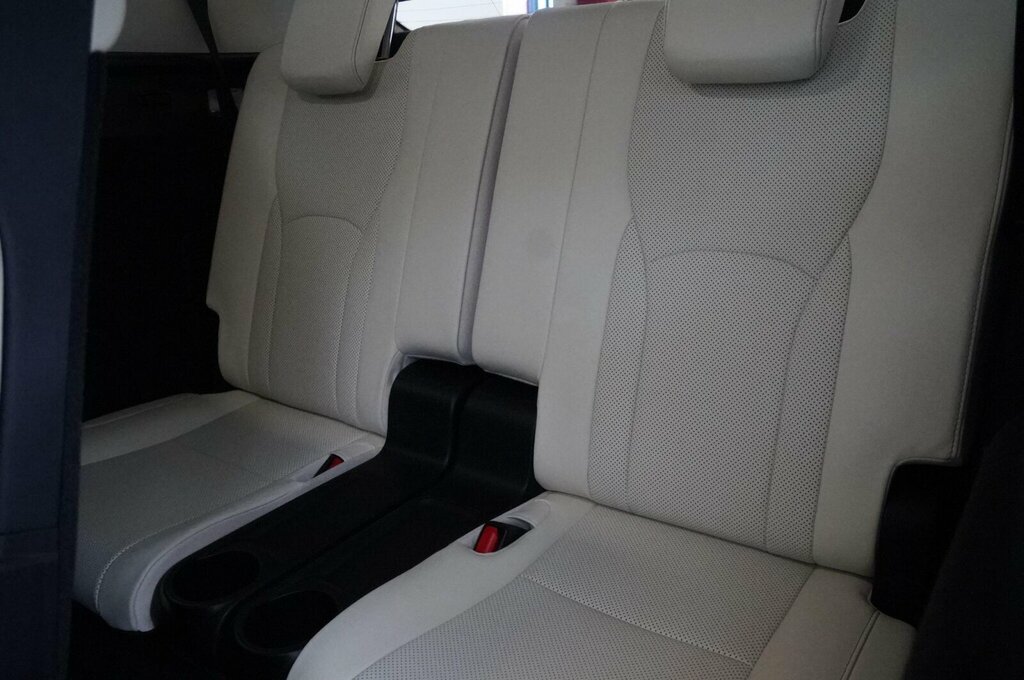 Lexus RX F Sport Black #19