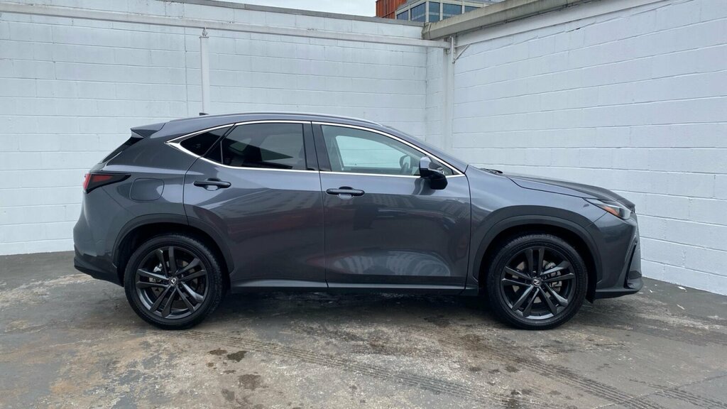 Lexus NX 2.5 450H 18.1Kwh Premium Plus E-cvt 4Wd Euro 6 S Brown #23