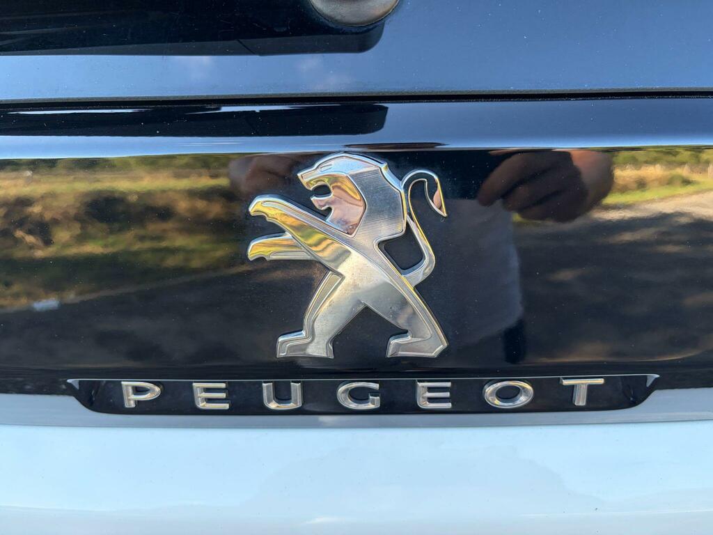 Peugeot 5008 Active Green #22
