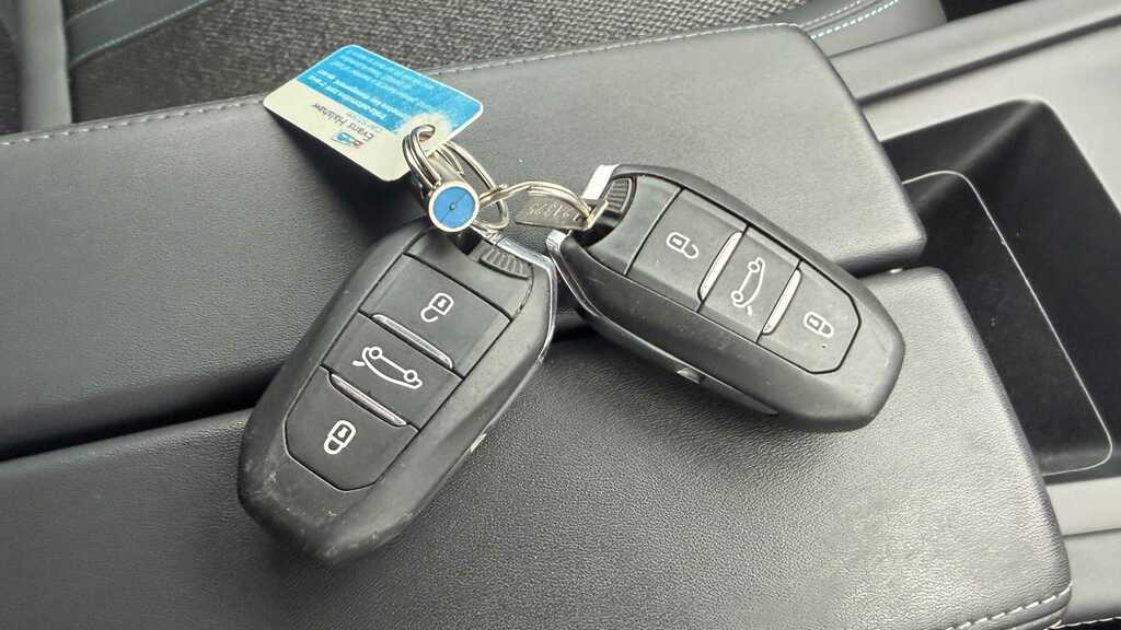 Peugeot 308 Active Premium Green #21