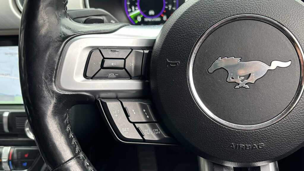 Ford Mustang 5L Gt Grey #14