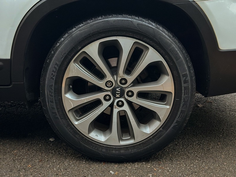 Kia Sorento  Brown #62